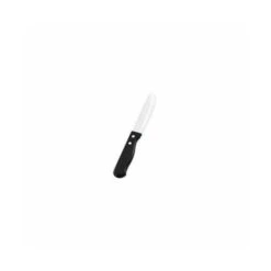 Steak Knife With Plastic Handle, PK12