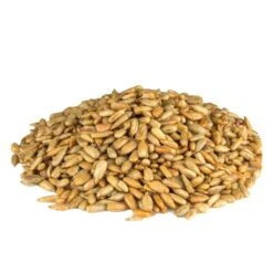 Azar Roasted Unsalted Sunflower Kernel 12.5lbs Bag, PK2