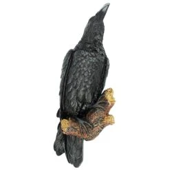 The Raven's Perch Wall Sculpture -Zoro Tools Shop Design20Toscano NG34872xx6