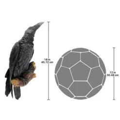 The Raven's Perch Wall Sculpture -Zoro Tools Shop Design20Toscano NG34872xx7