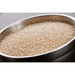White Quinoa 2lbs, PK6 -Zoro Tools Shop Dot20Foods 704418xx3xx20200930xx121846PM