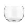 Revolve Clear Crystal Drinking Glass