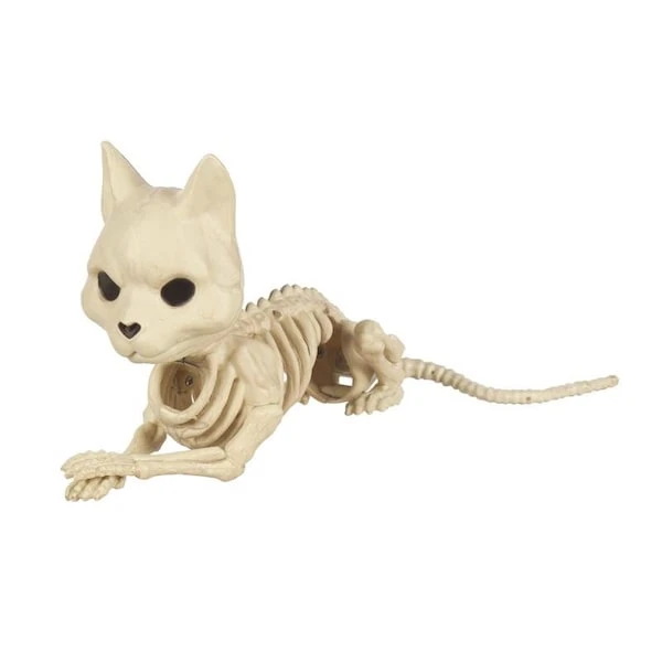 Seasons 5.125 In. Skeleton Cat Halloween Decor 1 Seasons 5.125 In. Skeleton Cat Halloween Decor