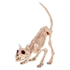Skeleton Kitty Bonez
