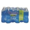 ACE Absopure Bottled Water 16.9 Oz 24 Pk