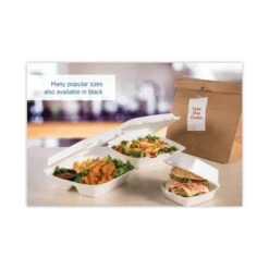 Insulated Foam Hinged Lid Containers, 1-Compartment, 9 X 9.4 X 3, White, PK400, 400PK -Zoro Tools Shop Essendant20Inc DCC90HT1xx06xx221fd8