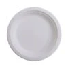 Plate, 10" Eco Plate, Natural White, PK50