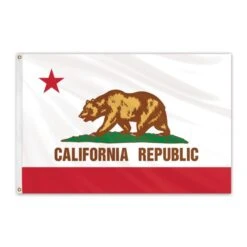 California Outdoor Nylon Flag 5'x8'