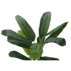 Monarch Specialties Artificial Plant, 55" Tall, Banana Tree, Indoor, Faux, Fake, Floor, Greenery, Potted, Real Touch 7 Monarch Specialties Artificial Plant, 55" Tall, Banana Tree, Indoor, Faux, Fake, Floor, Greenery, Potted, Real Touch -Zoro Tools Shop Monarch20Specialities Ixx9568xxalt4xx1bcaa2