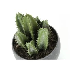 Monarch Specialties Artificial Plant, 6" Tall, Succulent, Indoor, Faux, Fake, Table, Greenery, Potted, Set Of 3 -Zoro Tools Shop Monarch20Specialities Ixx9587xxalt6xx3fe0f4