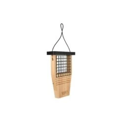 Cedar Suet Tail Feeder
