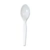 Dixie Teaspoon, Bulk, White 1000PK