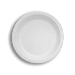 10 In. Round Plate, 500PK