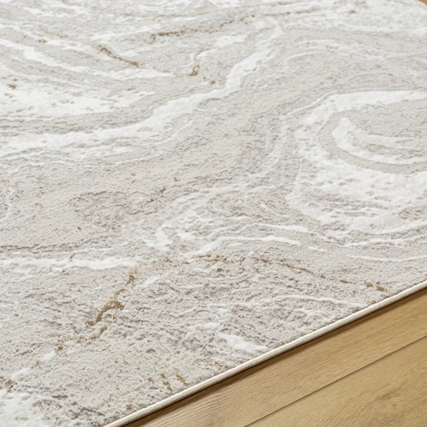 Allegro ALG-2339 Machine Crafted Area Rug 5 Allegro ALG-2339 Machine Crafted Area Rug - Image 5