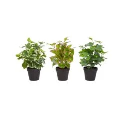 Nature Spring Potted Faux Foliage - Set Of 3