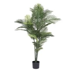 UV Robellini Tree Palm With 34 Leaves - 60 In.