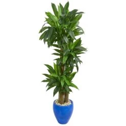 6 Ft. Cornstalk Dracaena Artificial Plant In Blue Planter - Real Touch