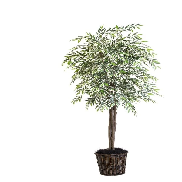 Variegated Smilax Deluxe Everyday Tree - 7 Ft. 1 Variegated Smilax Deluxe Everyday Tree - 7 Ft.