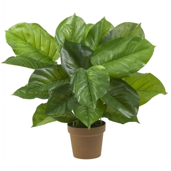 Large Leaf Philodendron Silk Plant -Real Touch 1 Large Leaf Philodendron Silk Plant -Real Touch