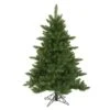 4.5 X 37 Camdon Fir Tree 566 Tips