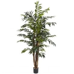 5 In. Bamboo Palm Silk Tree