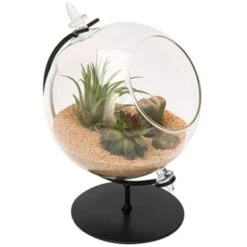 7 X 5 X 4.5 In. Glass Desktop Terrarium With Stand, Black & Clear