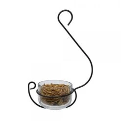 Clear Glass Hanging Treat & Mealworm Feeder