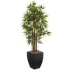 5 Ft. Bamboo Artificial Tree In Black Wash Planter