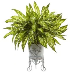 Aglaonema With Metal Planter