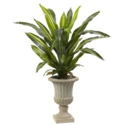 5 Ft. Dracaena Plant With Urn - Real Touch