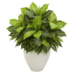 Dieffenbachia Artificial Plant In White Planter