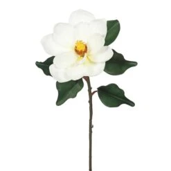 Single Magnolia-Cream Floral Stem