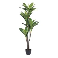Real Touch Dracaena X5 Everyday Tree With 68 LVS In - 60 In.