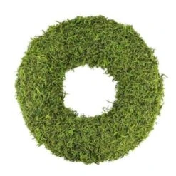 17.5 In. D Reindeer Moss Wreath With Moss Green LED Light