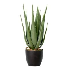 27.5 In. Green Potted Aloe Vera Pot