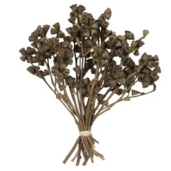 11 X 2-4 In. Conical Gum Branch Bunch Flowering Foliage, Natural - 20 Piece