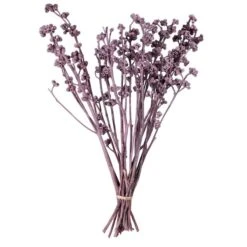 13 X 1-3 In. Red Gum Brombeer Frosted Bunch - 14 Piece