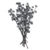 13 X 1-3 In. Frosted Branch, Grey - 14 Piece