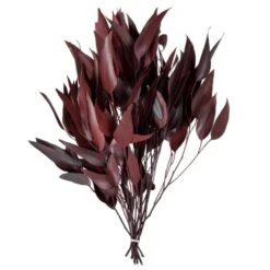 18-20 X 8 In. Eucalyptus Willow Red Bunch, 5-6 Oz