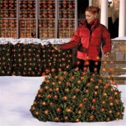 40802-71 4 X 6 Ft. 100 Red LED Net Light Set