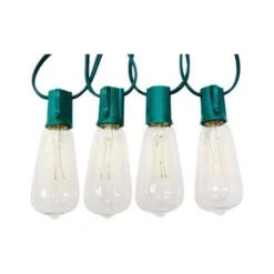 10010-71 Clear Edison Style Replacement Bulbs