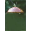 Birds Choice RED DOME Hummingbird Feeder With Red Dome