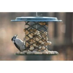 Birds Choice XWPF Magnet Mesh Whole Peanut In The Shell Feeder