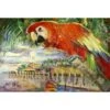 Red Parrot At Lulus Fabric Placemat
