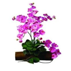31.5 In. H Dark Pink Phalaenopsis Stem - Pack Of 12