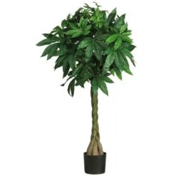 51'' Money Silk Tree