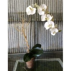 Forever Green Art WRBOrchis Wire Rose Orchid