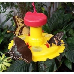 Songbird Essentials SE78200 Butterfly Feeder