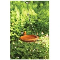 Ancient Graffiti ANCIENTAG17027 BirdBath Spice Round Hanging