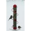 Songbird Essentials SEBQSBF3R 17" Spiral Sunflower Feeder - Red